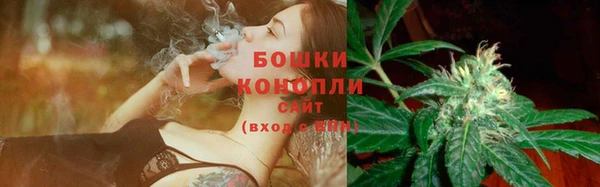 дмт Снежногорск