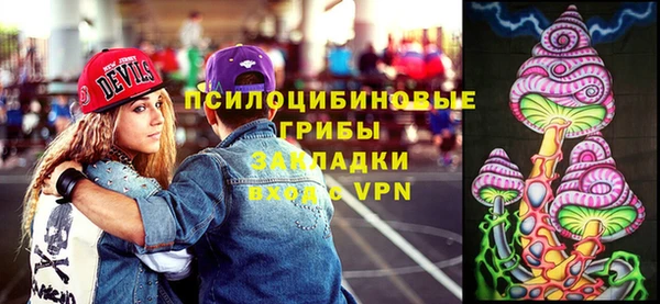 mdpv Снежинск
