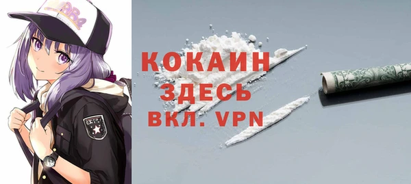 mdpv Снежинск