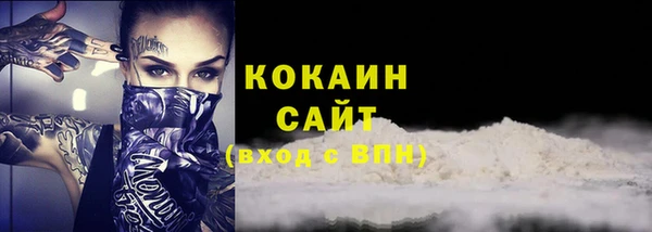 дмт Снежногорск