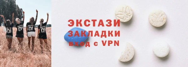 дмт Снежногорск