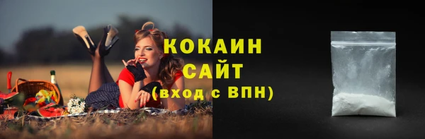 дмт Снежногорск