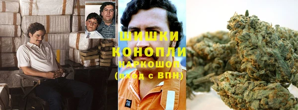 mdpv Снежинск