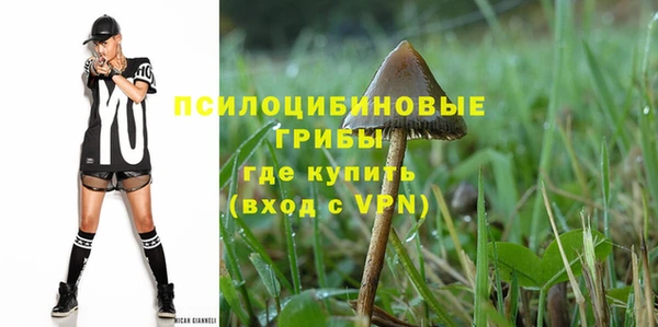 дмт Снежногорск