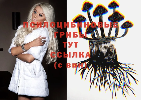 дмт Снежногорск